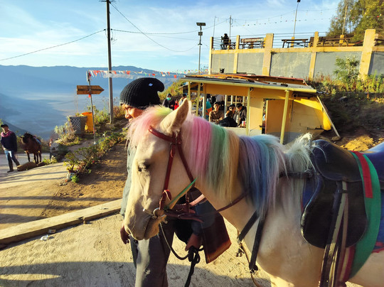 Helios tour - Indonesia-玛琅必去景点