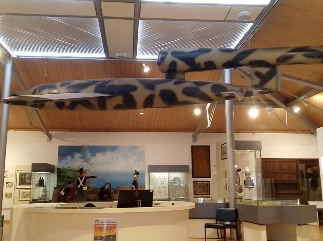 Dover Museum And Bronze Age Boat Gallery景点图片