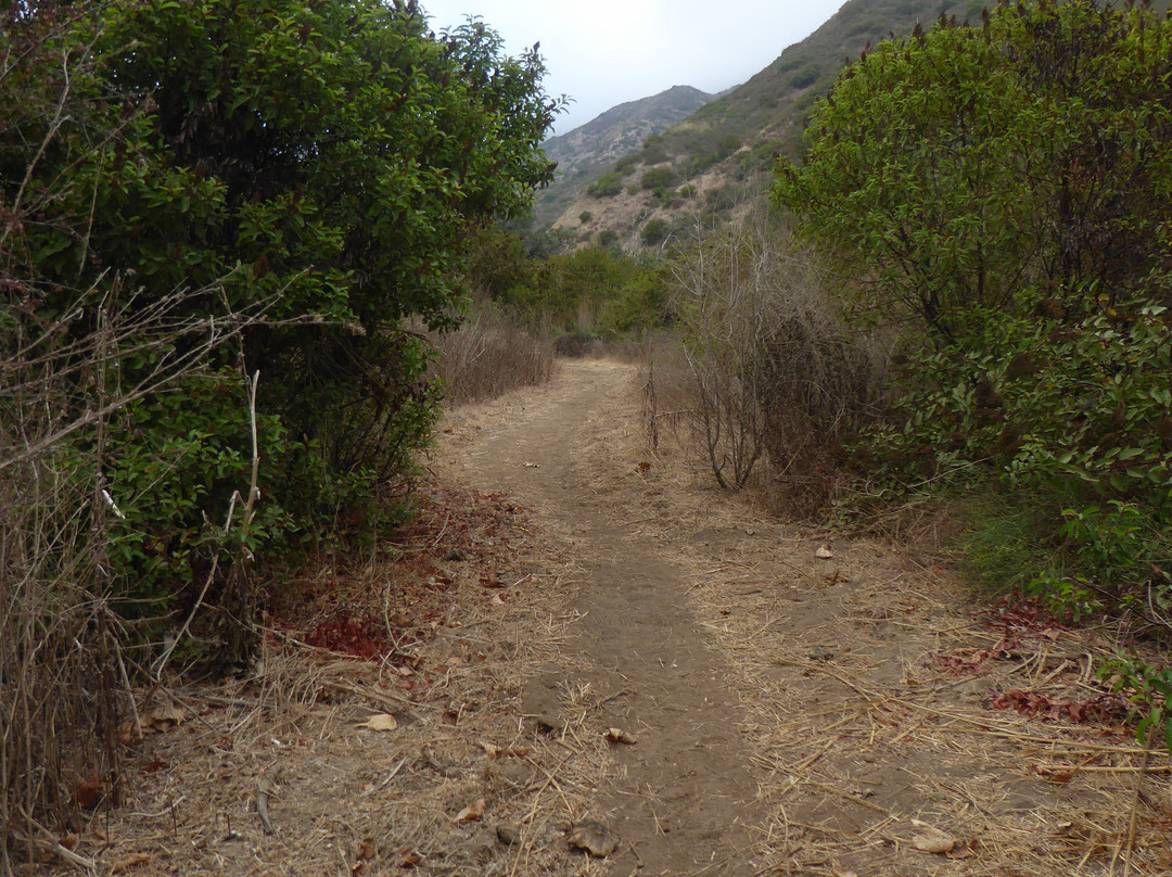Zuma and Trancas Canyons-马里布必去景点