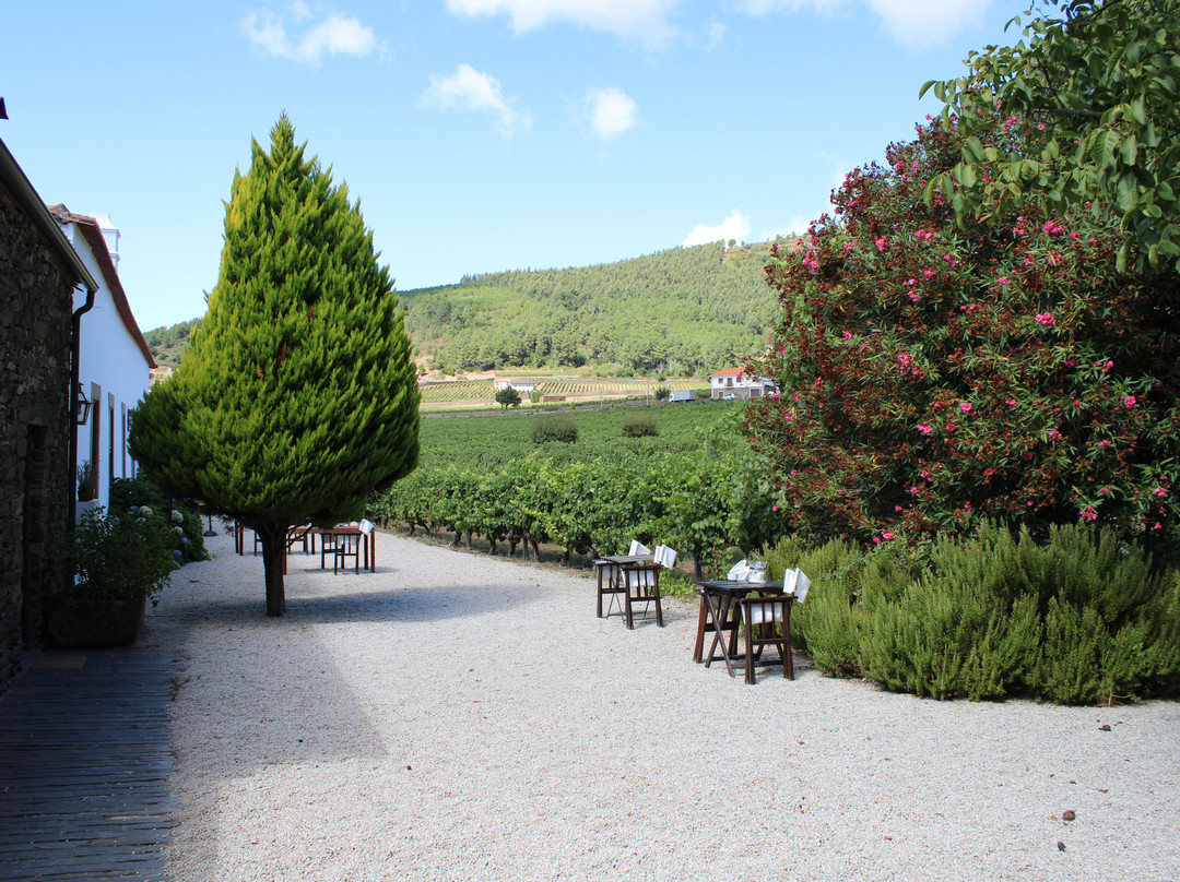 Morgadio da Calcada主图