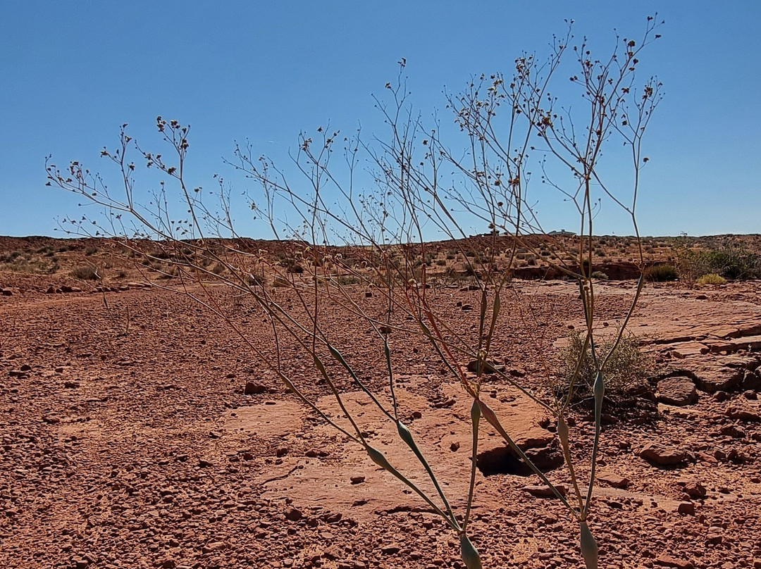 Rimview Trail-佩吉必去景点