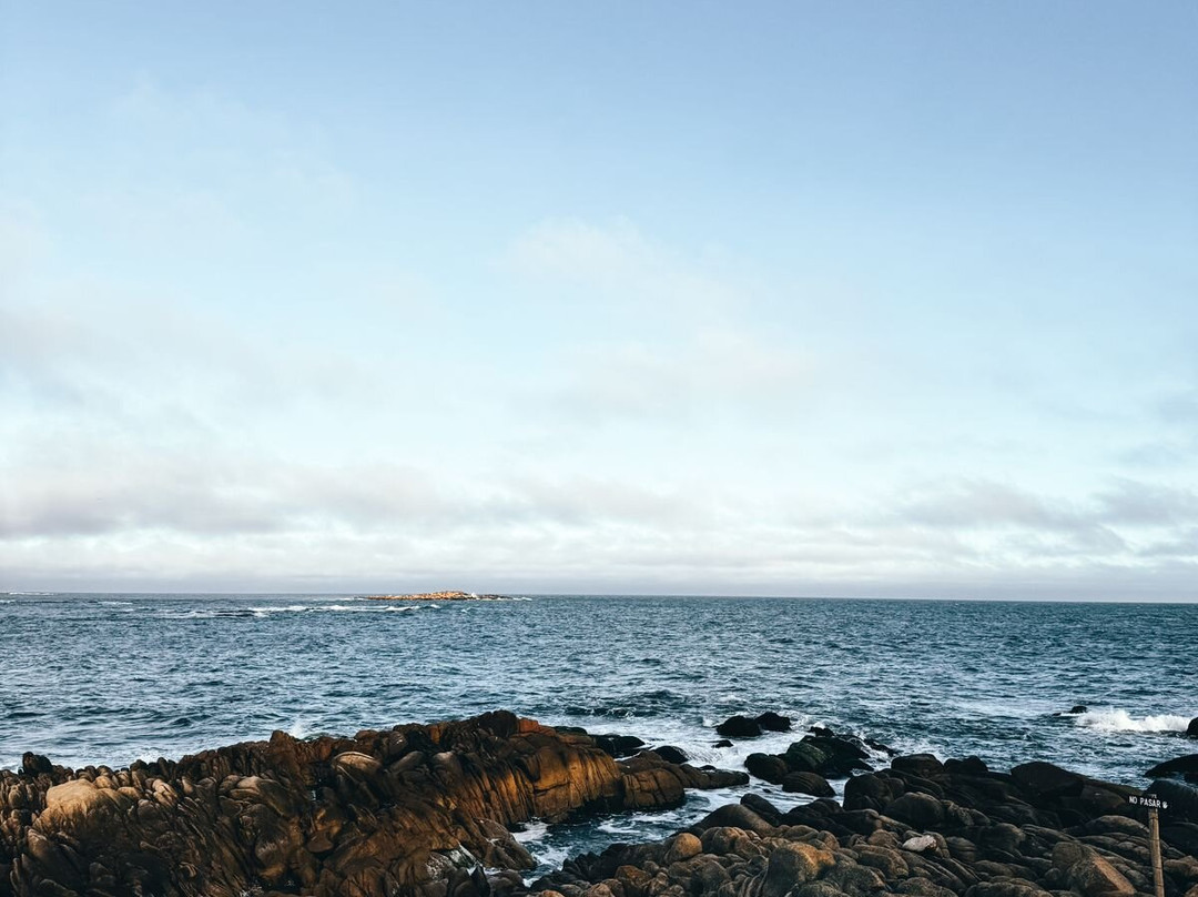 Parque Nacional de Cabo Polonio-Cabo Polonio必去景点