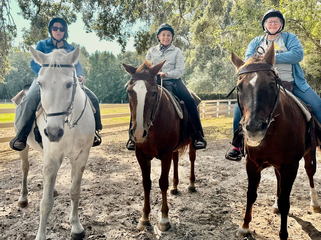 Camelot Farms Equestian Center-Saint Helena Island必去景点