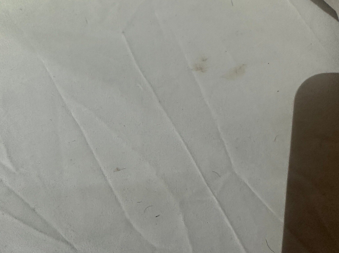 Timberland Inn主图