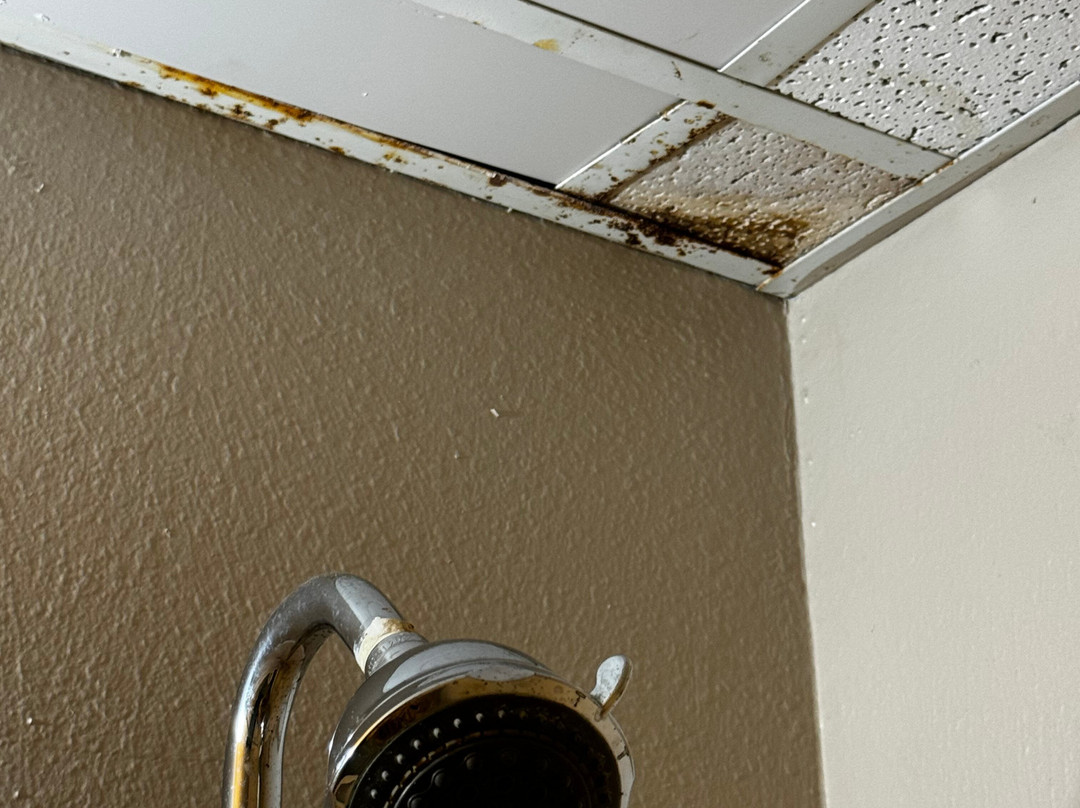 Super 8 by Wyndham Nevada主图