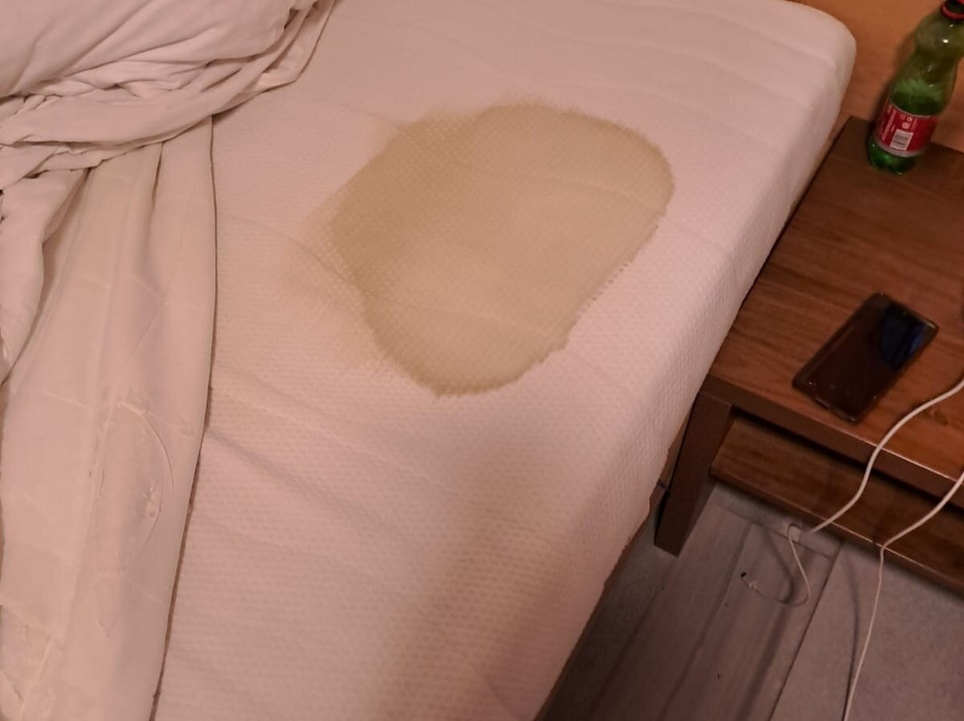 Wels Inn Hotel主图