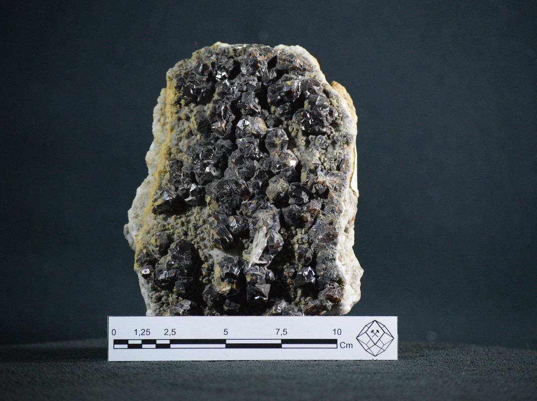 Museo Mineralógico Uda-Copiapo必去景点