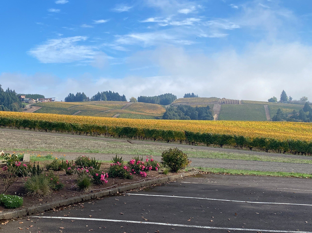 Knudsen Vineyards-Dundee必去景点