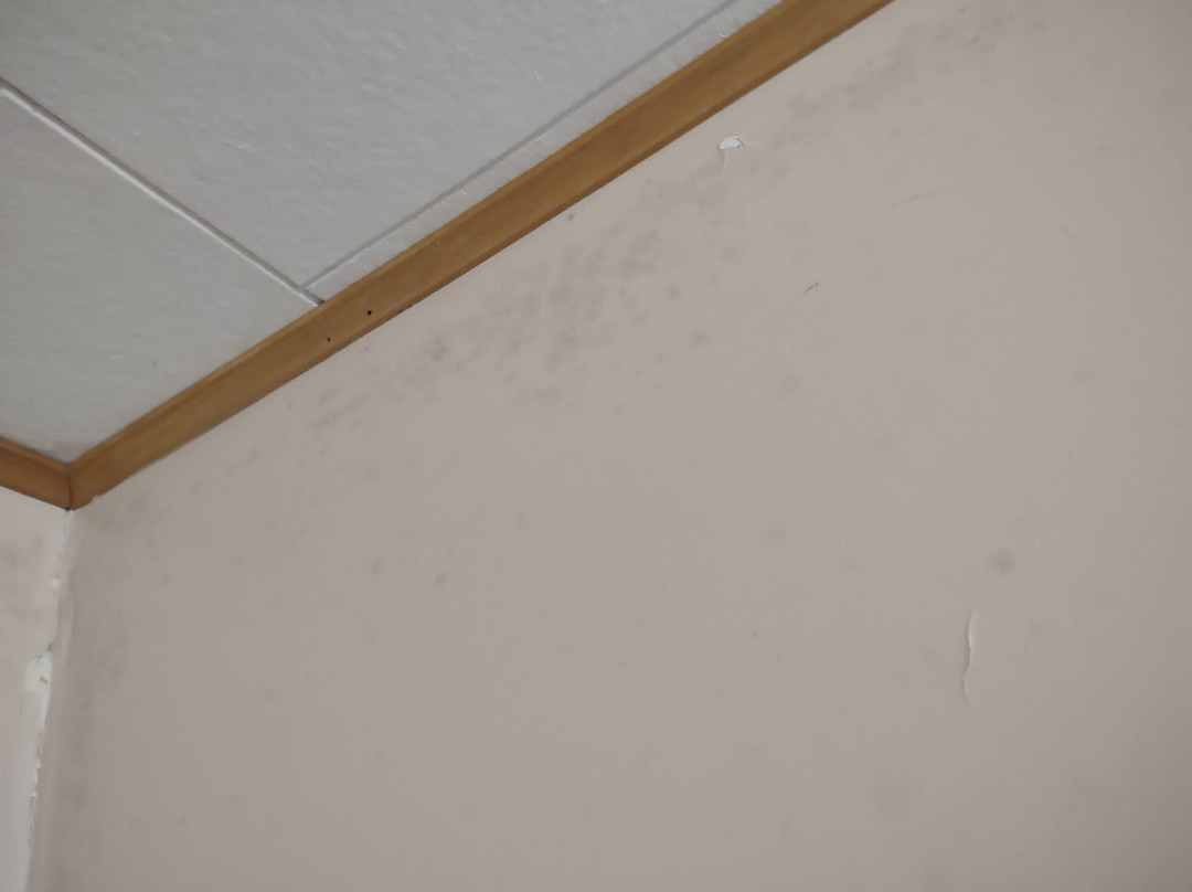 Mindemoya Motel主图