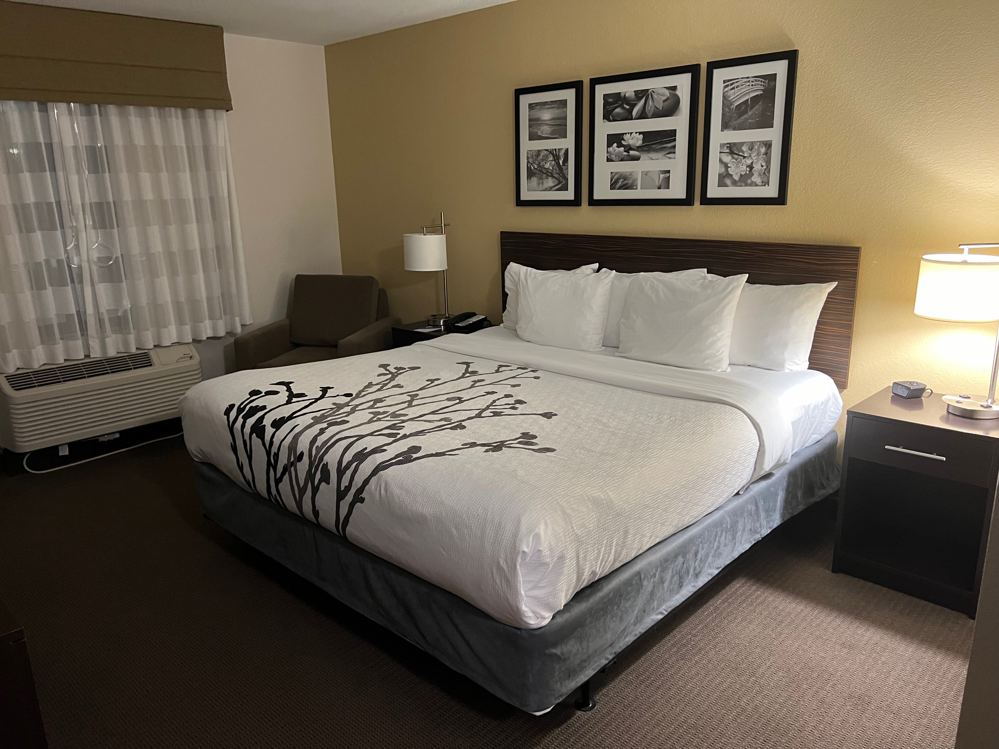 Sleep Inn & Suites-官方
