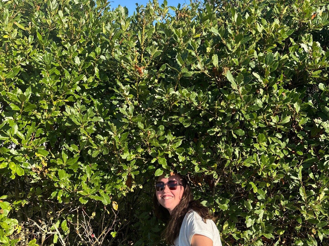 Insolit'prod-斯特拉斯堡必去景点