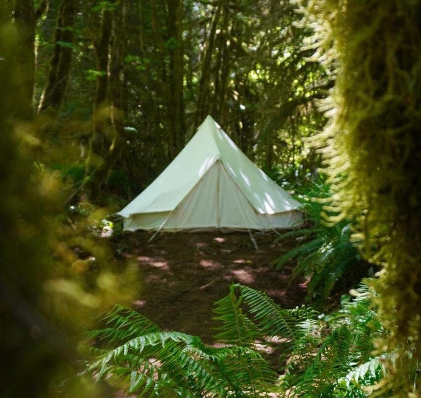 Wander Camp Olympic