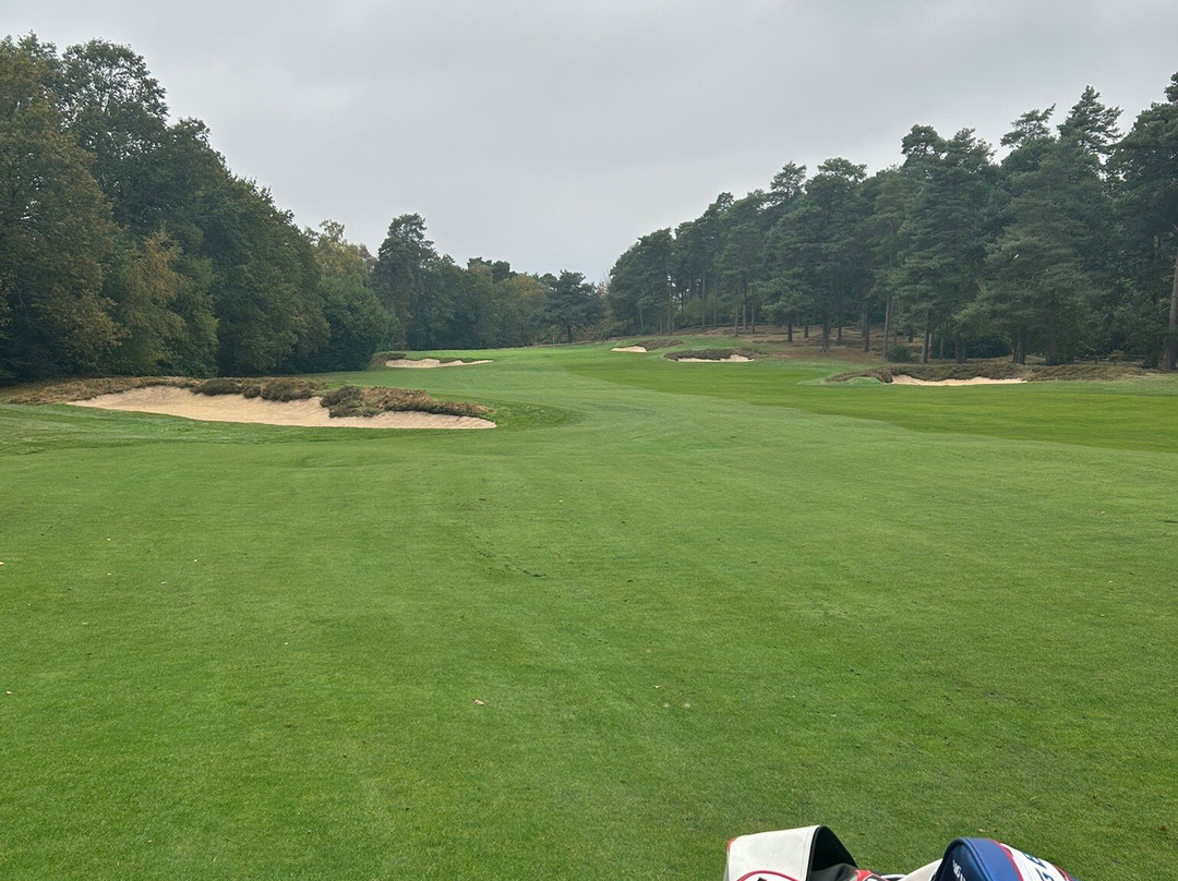 St George's Hill Golf Club景点图片