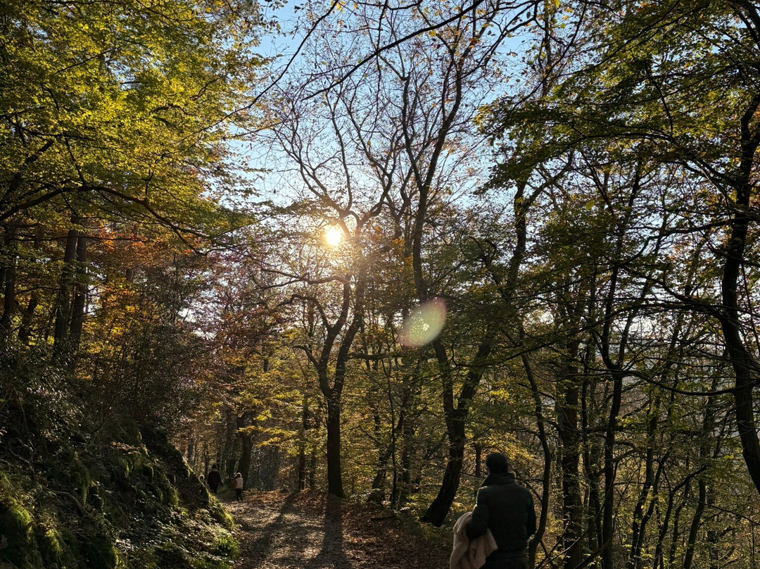 Ninglinspo景点图片