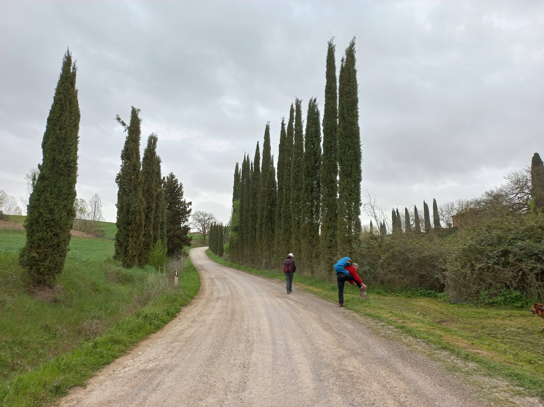 Via Francigena Tappa 35 Ponte d'Arbia - San Quirico d'Orcia景点图片