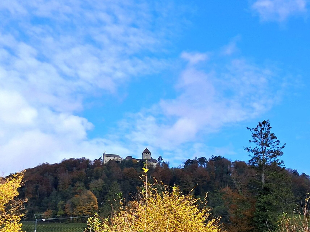 Burg Hohenklingen-施泰因必去景点