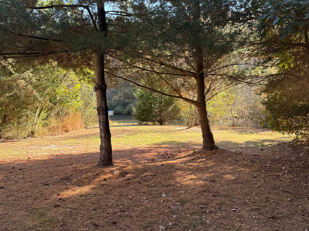 Lake Gerar Tot Lot-里霍博斯比奇必去景点