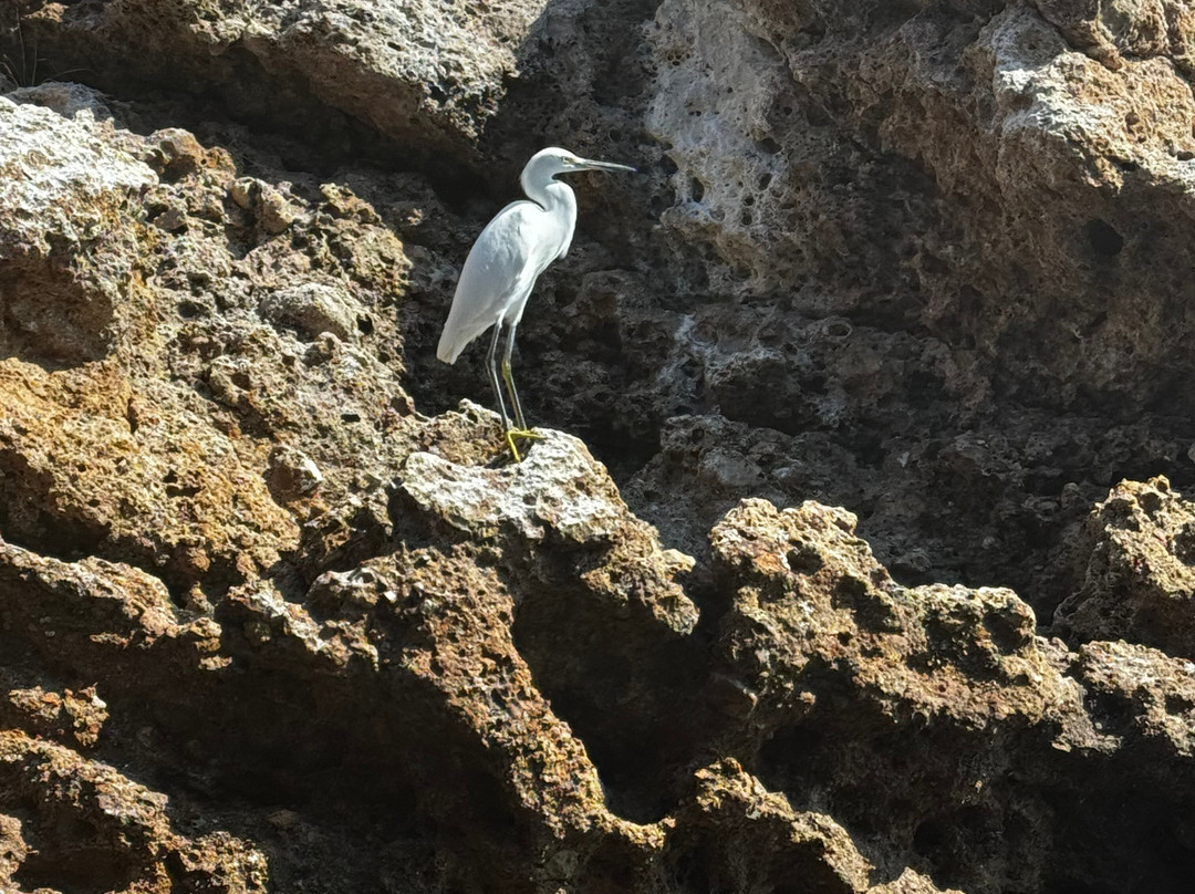 Santa Madre Adventures-旧金山必去景点