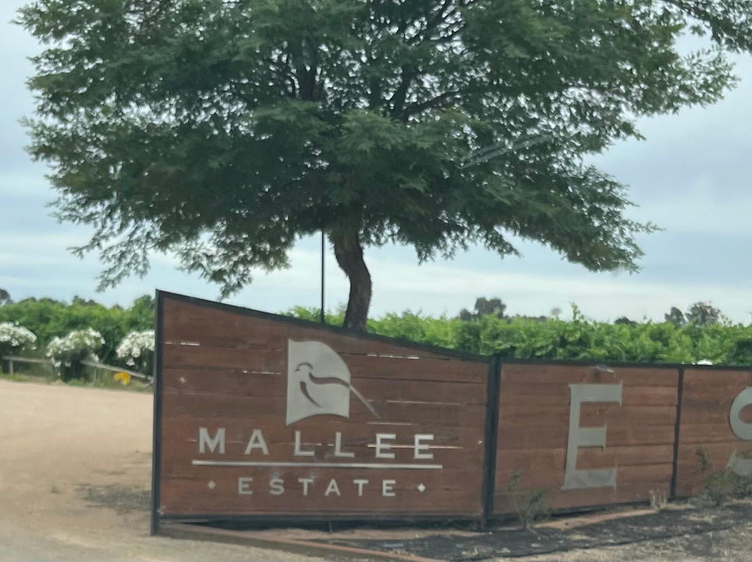 Mallee Estate Winery-Renmark必去景点
