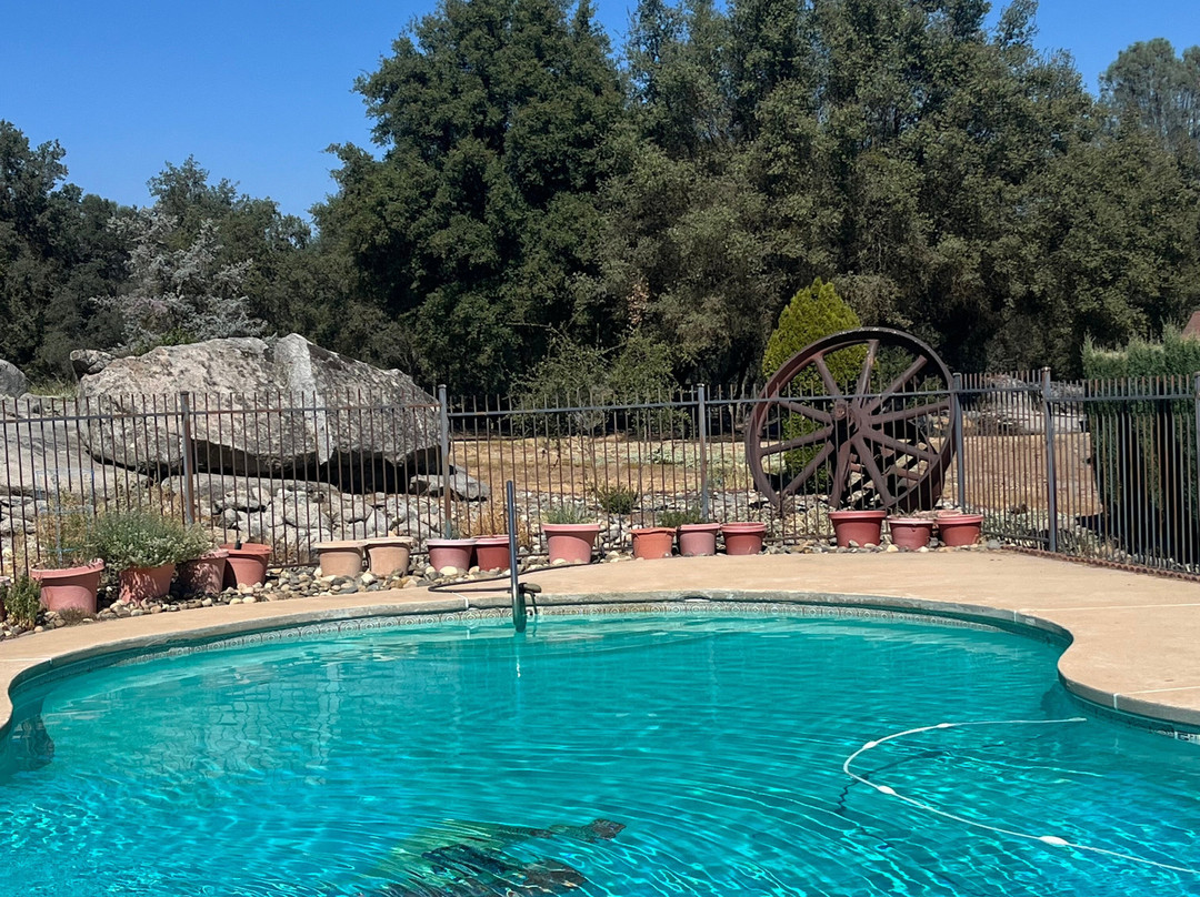 Restful Nest Bed and Breakfast主图