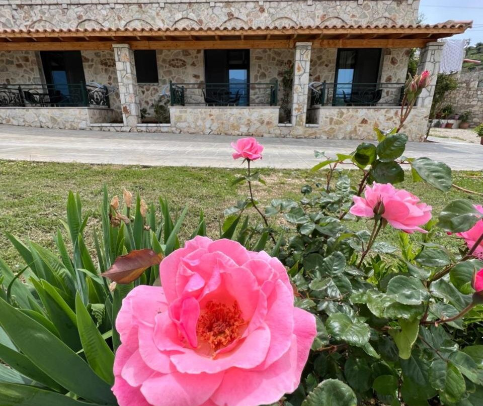 Stonevilla Buta主图