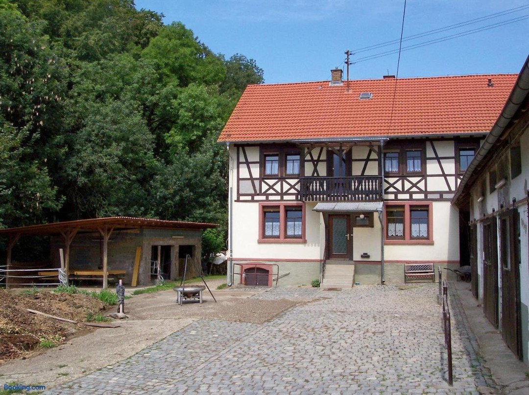 Pferdehof Dörsam