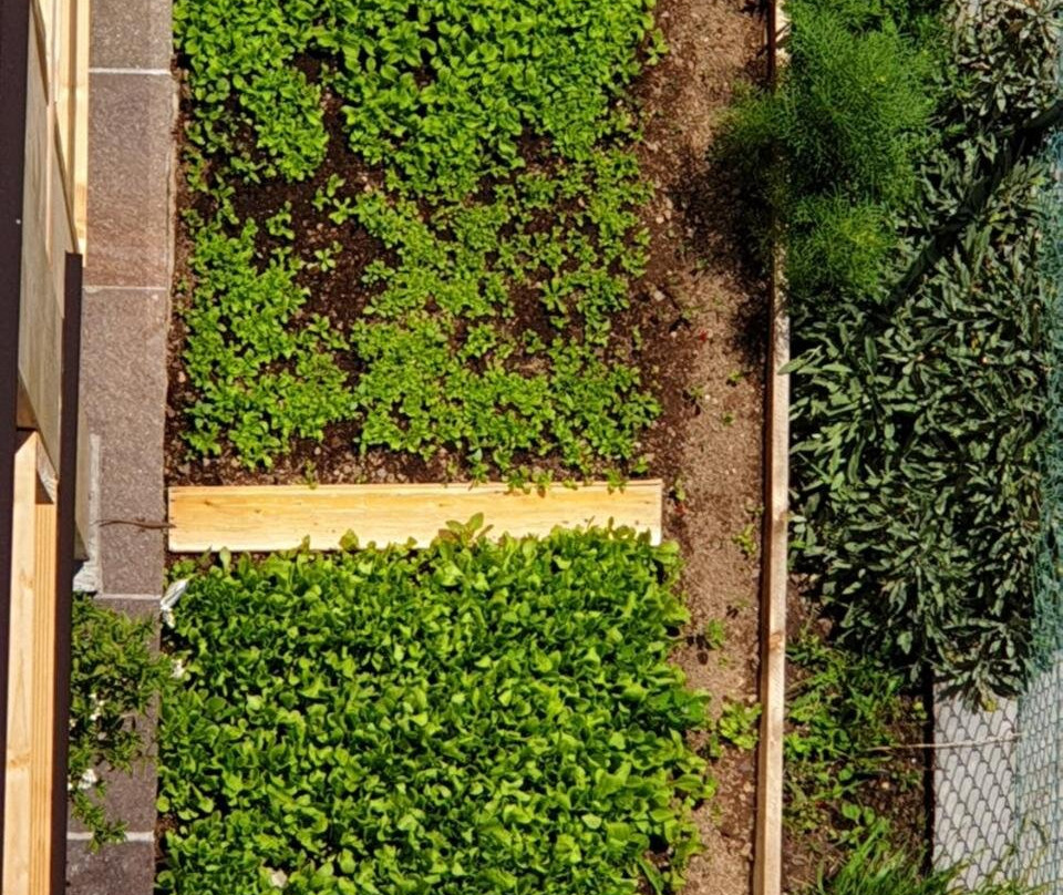 Anesi Appartamenti主图