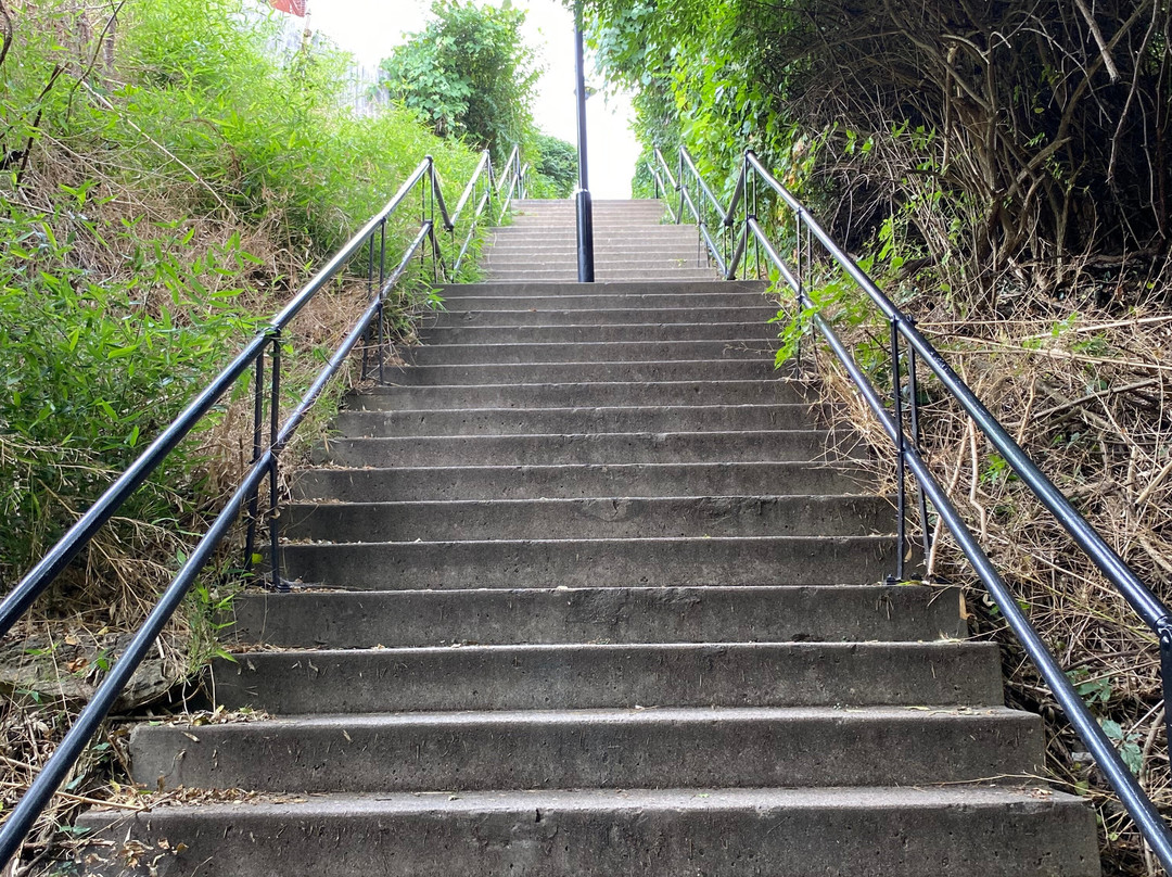 Mount Adams-辛辛那提必去景点