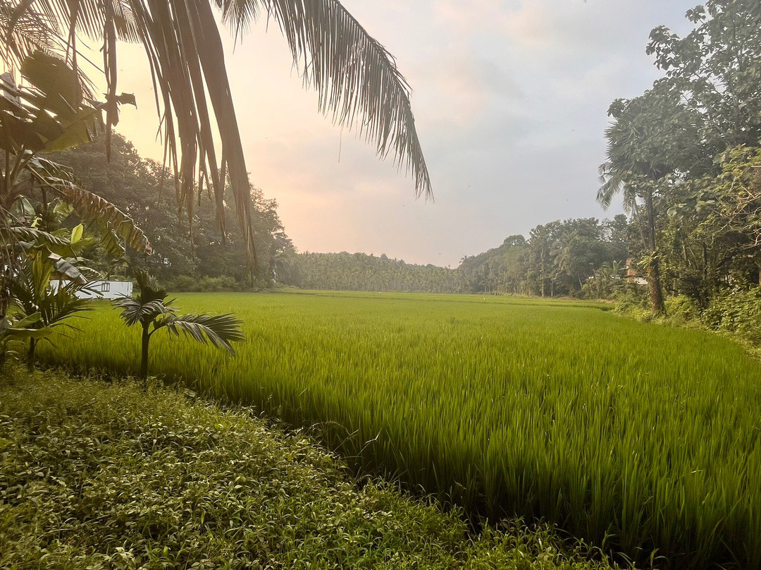 Shanthi Ayurveda Ashram-Palakkad必去景点
