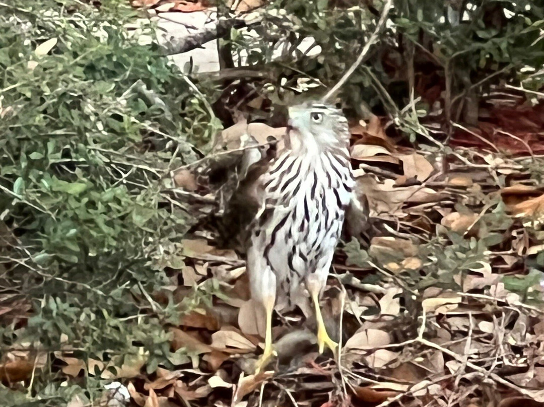 Ruth Rothkopf Park-Lauderhill必去景点