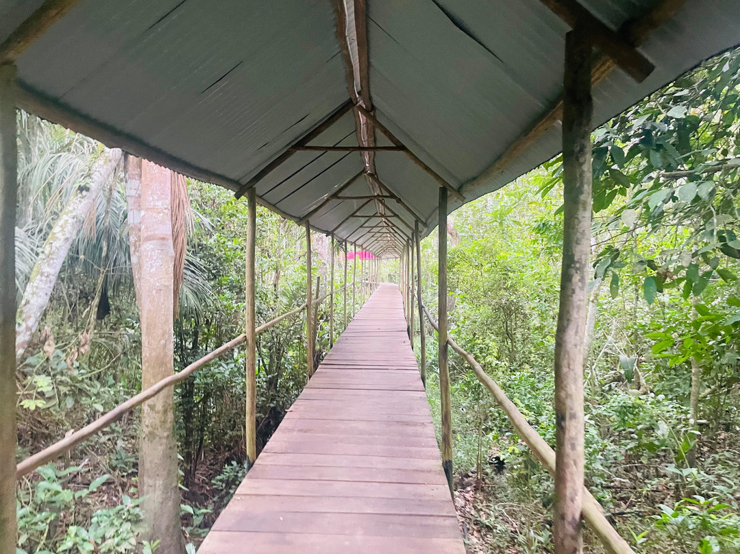 Avatar Amazon Lodge & Canopy Park主图