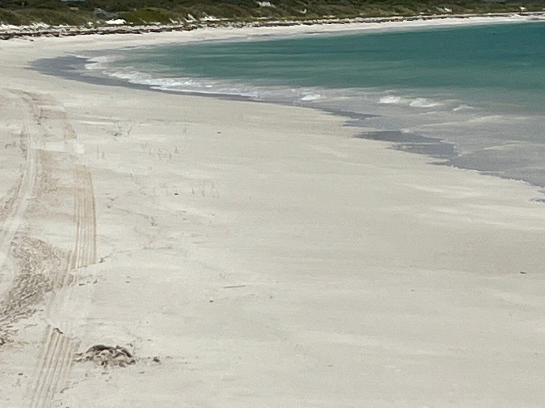防风林住宿加早餐酒店主图