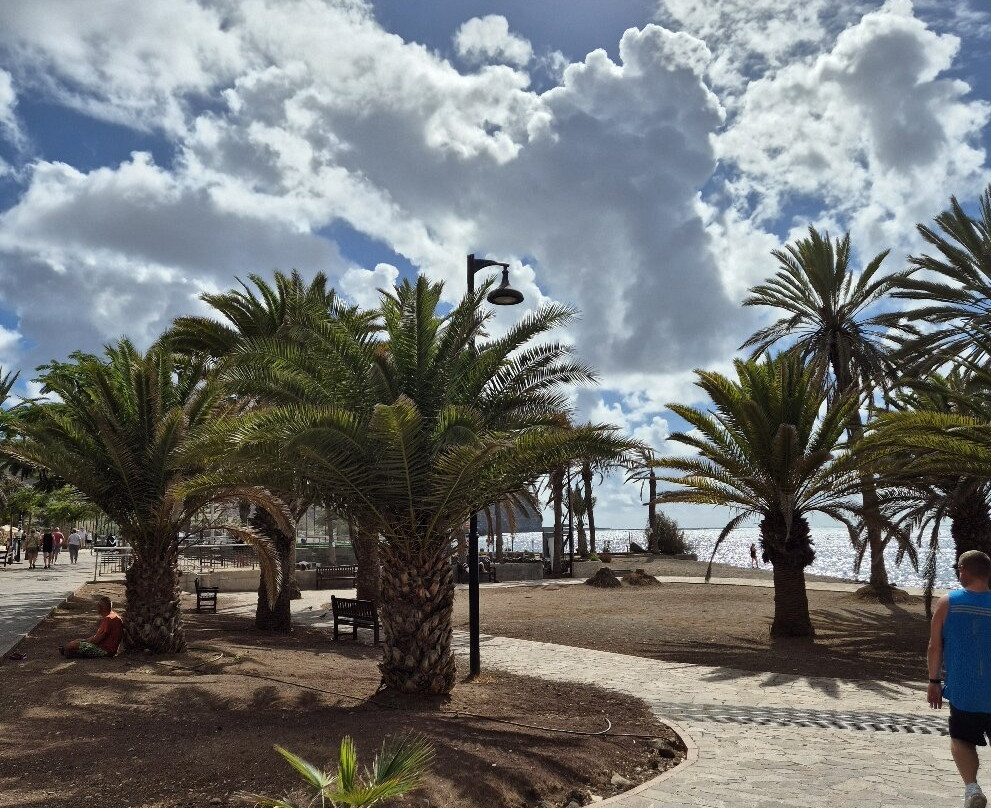 Puerto Los Cristianos-洛斯克里斯蒂亚诺斯必去景点