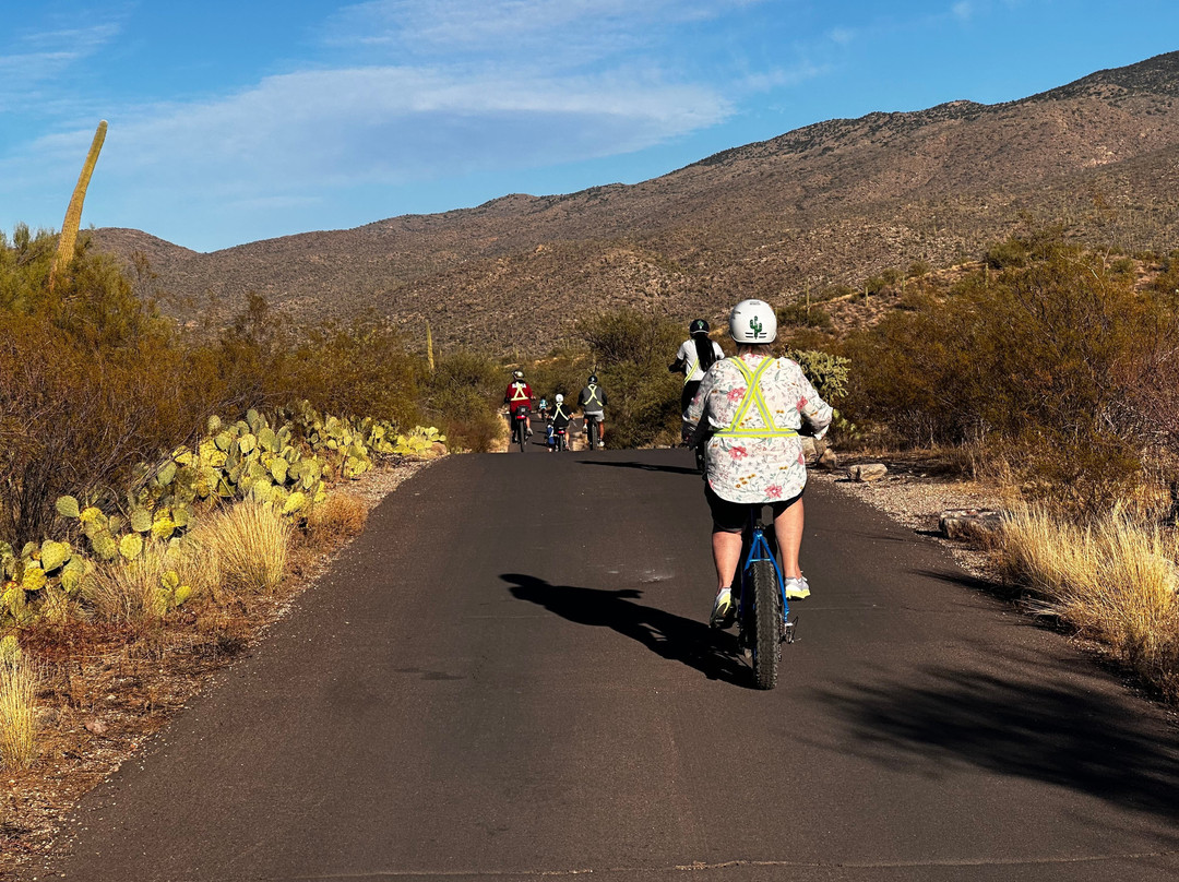 Tucson E-Bike Adventures-图森必去景点