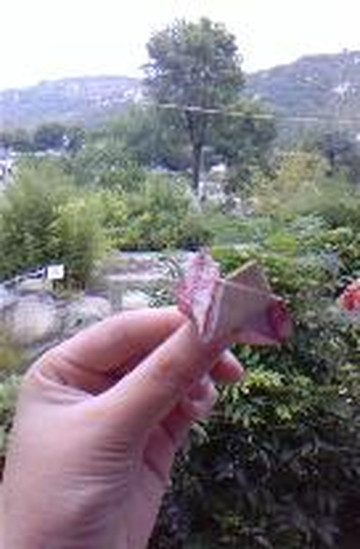 蒙山养心园大酒店