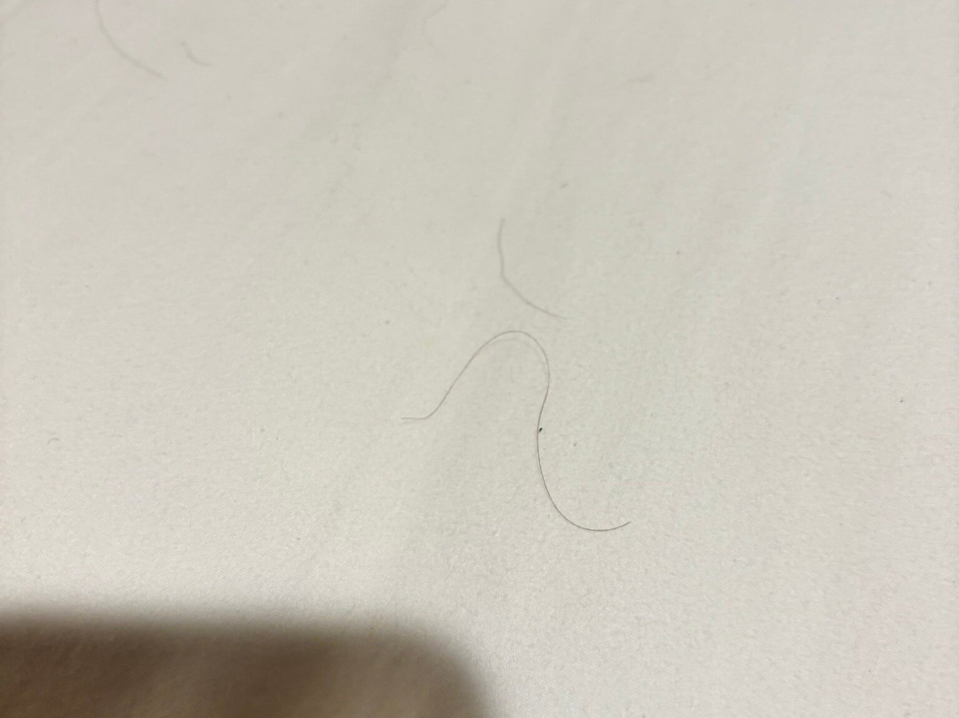 WoodSpring Suites Chesapeake-Norfolk South主图