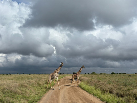 Epic Views Tours & Travel-内罗毕必去景点