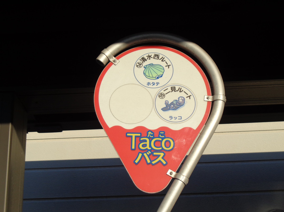 Akashi City Taco Bus-明石市必去景点