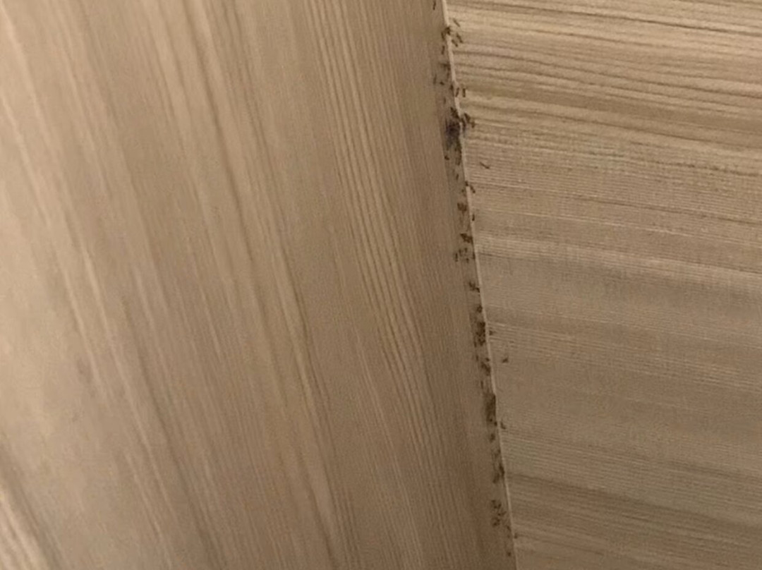 SpringHill Suites by Marriott Birmingham Gardendale主图