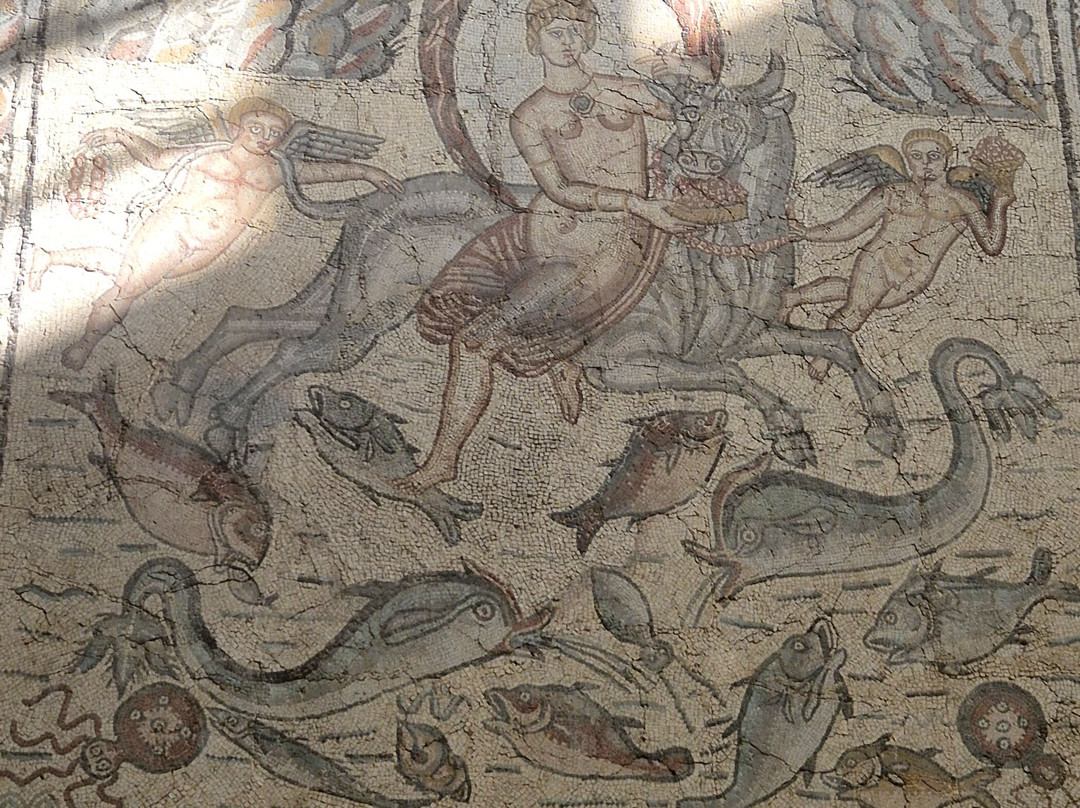Djemila Museum景点图片