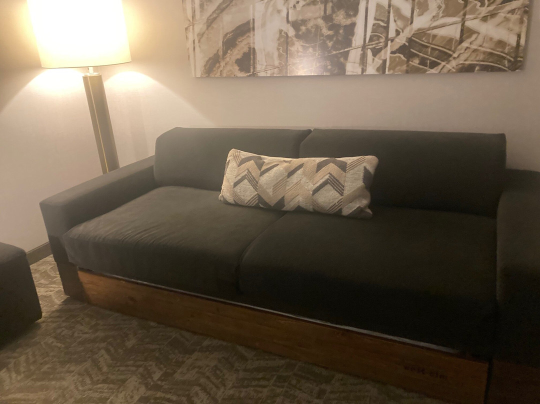 SpringHill Suites by Marriott Belmont Redwood Shores主图