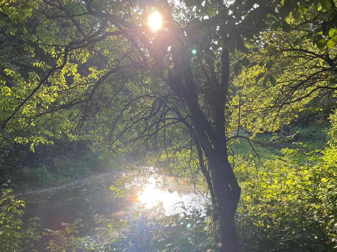 Humiston Woods Nature Center-Pontiac必去景点