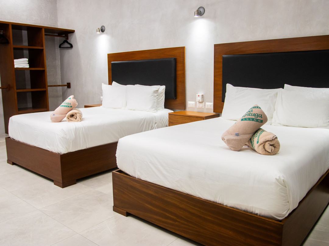 Cenotes Casa Tortuga主图