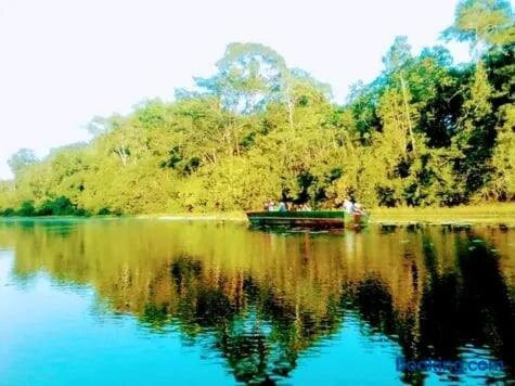 Amazon Lodge & Safaris