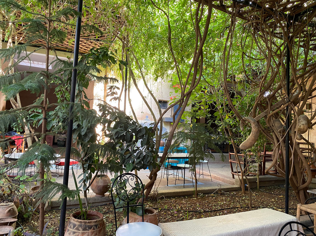 Oasis de Tiout主图