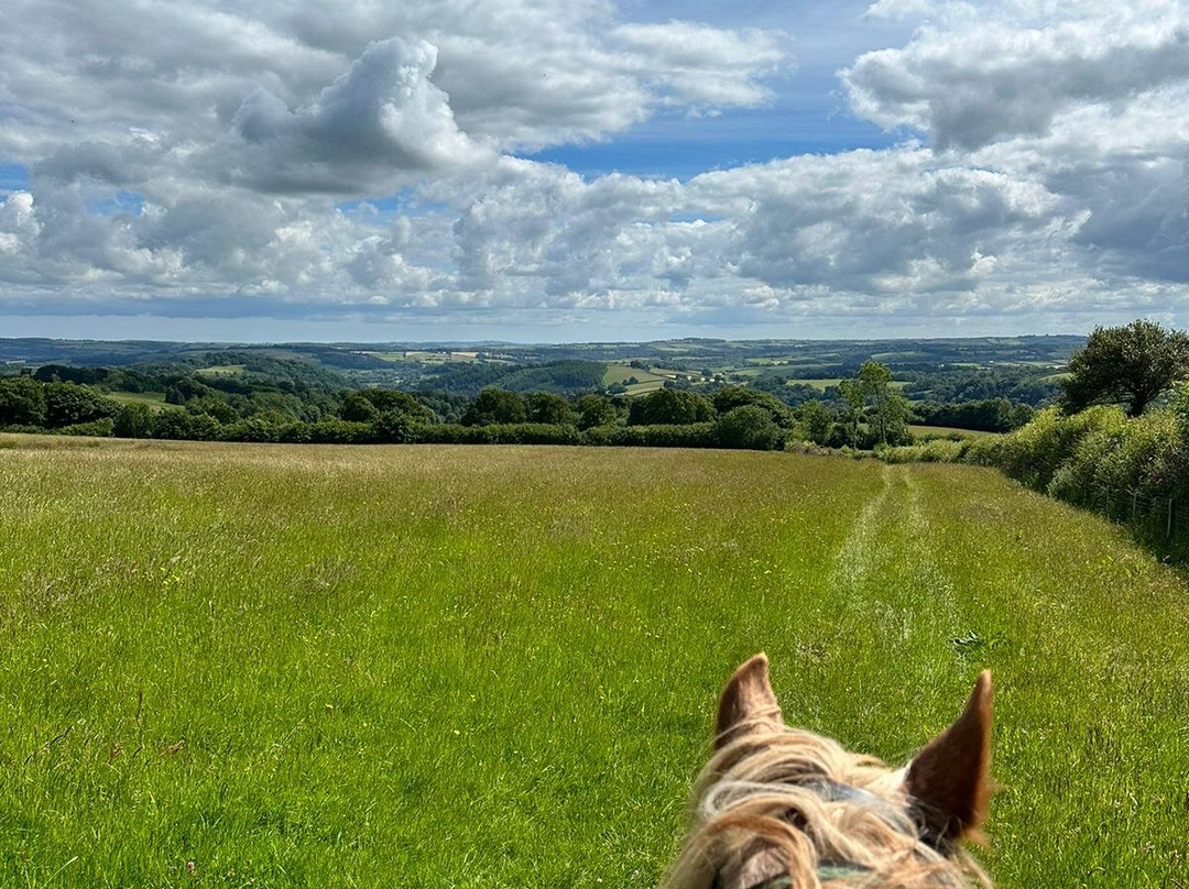 Pine Lodge Riding On Exmoor景点图片