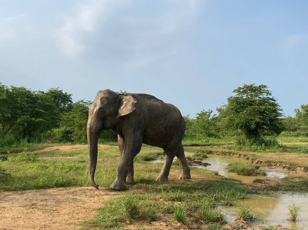 Akarshana Tours-埃勒必去景点