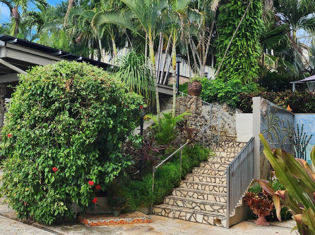 懒鹦鹉酒店主图