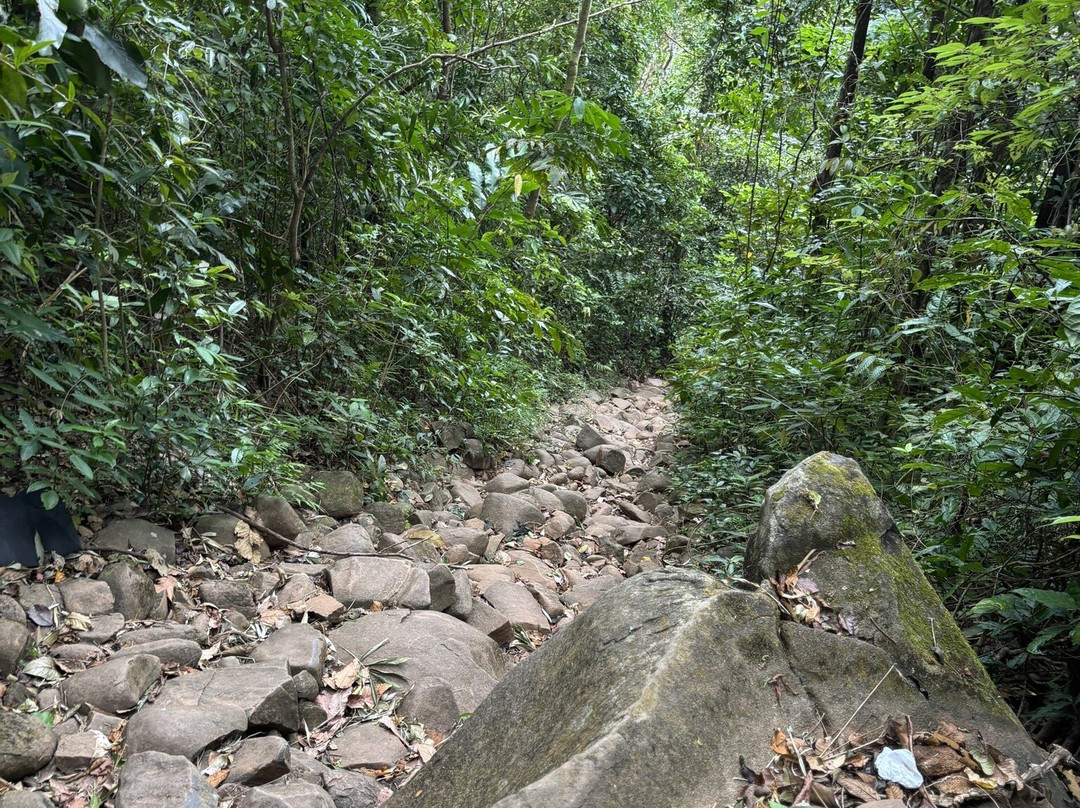 Black Virgin Mountain景点图片