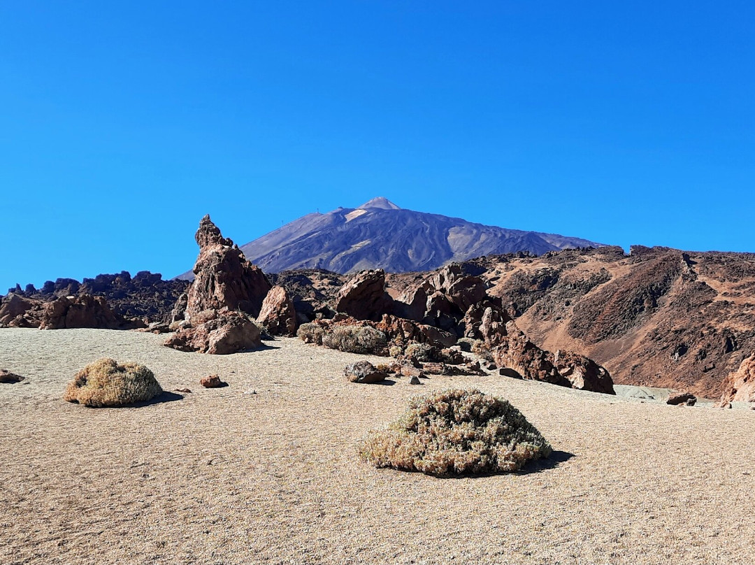 Gregorios Wanderfamily-圣克鲁斯-德特内里费必去景点